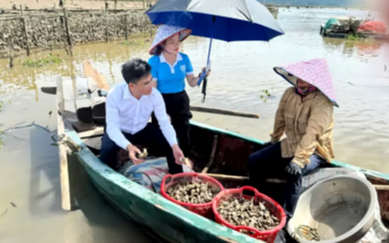 Mô hình nuôi hàu treo mở hướng sản xuất mới tại cửa sông Hà Tĩnh