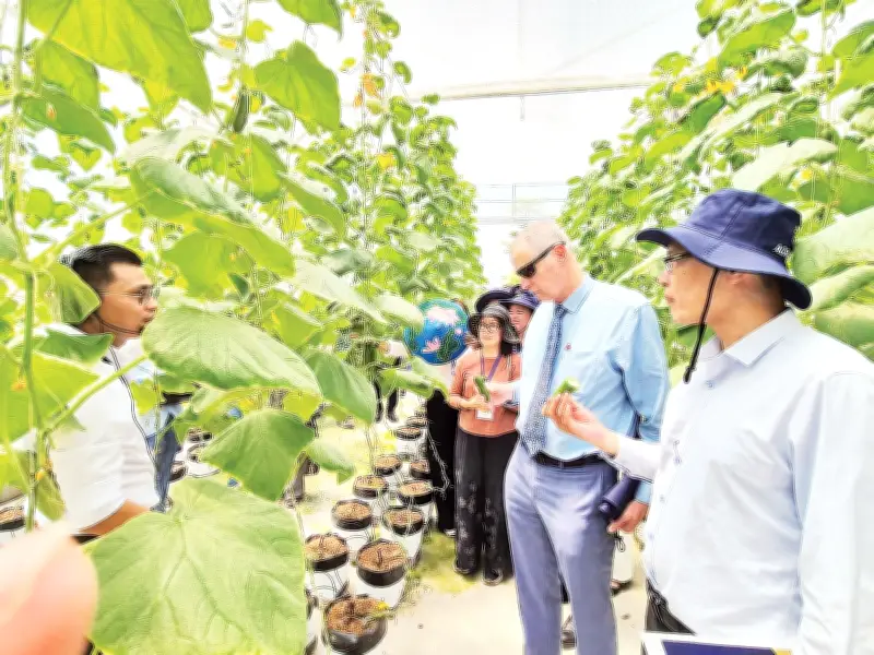 Mô hình trang trại Israel giúp nâng cao chất lượng nông sản Việt