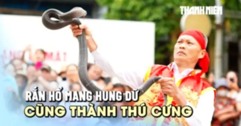 Mùa rắn giữa sân đình: Nghệ nhân 50 năm chưa từng bị cắn