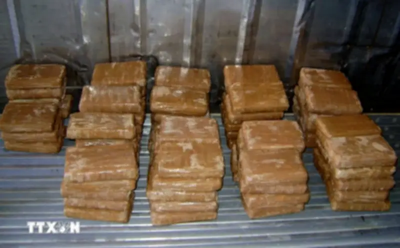 Mexico thu giữ hơn 2 tấn cocaine ngoài khơi bang Oaxaca