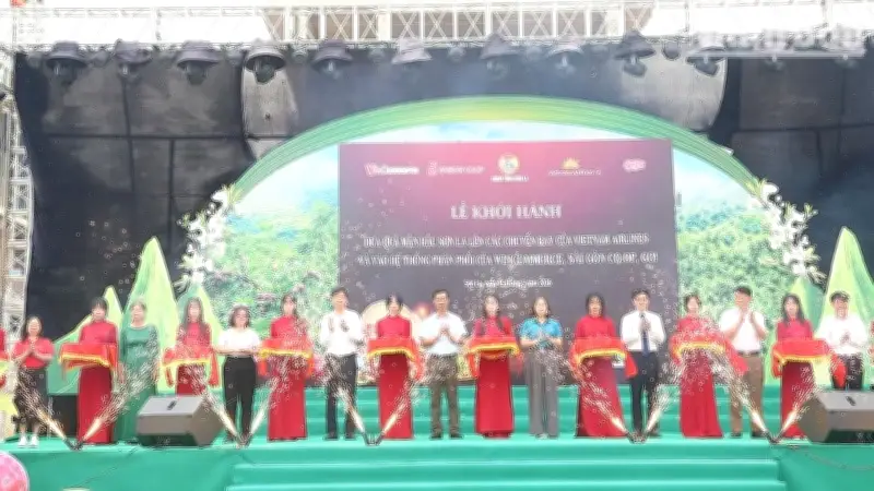 Mận hậu Sơn La lên máy bay, vào siêu thị trên toàn quốc