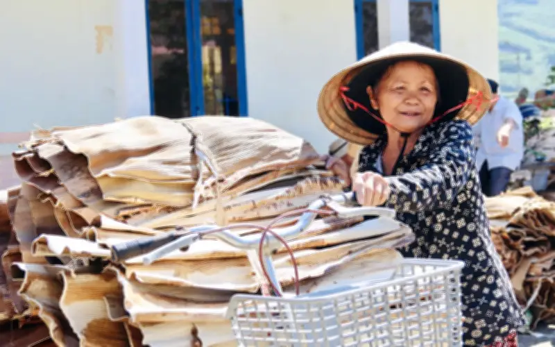 Mo cau bỏ đi thành nguồn thu nhập cho người dân Quảng Ngãi