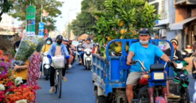 Mật ong, nấm linh chi, cây mai... phải có hóa đơn?