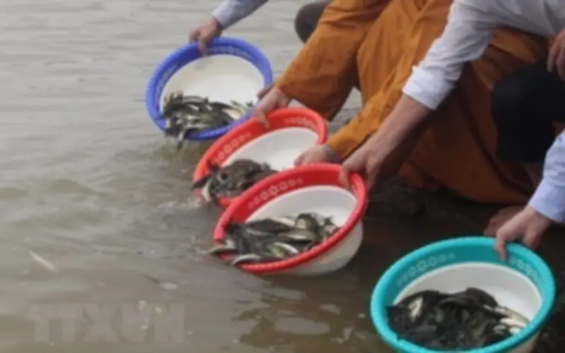 Mua phát đạn và 3 thời điểm tuyệt đối không phóng sinh