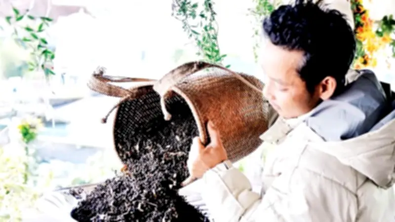Muối lylu đặc sản từ quả rừng Lang Biang của chàng trai Cơ Ho