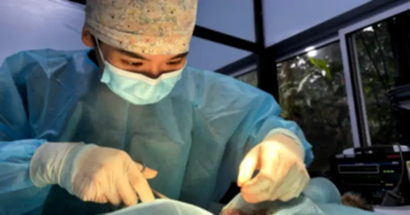 Nữ bác sĩ thú y bỏ phố lên rừng suốt 4 năm cứu hộ động vật hoang dã