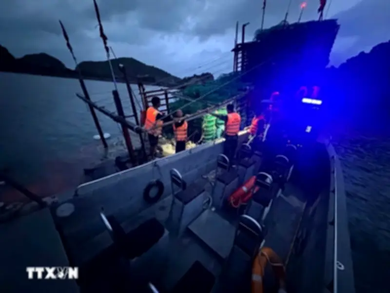 Đồn Biên phòng Cô Tô cứu thành công 8 ngư dân Thanh Hóa gặp nạn trên biển