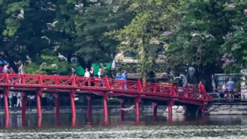 Đàn chim hoang dã kéo về Hồ Gươm, tín hiệu môi trường sinh thái cải thiện
