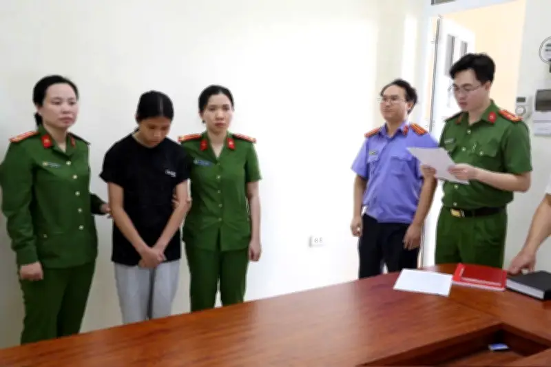 Nữ sinh lớp 10 bị đánh hội đồng, hai học sinh bị khởi tố