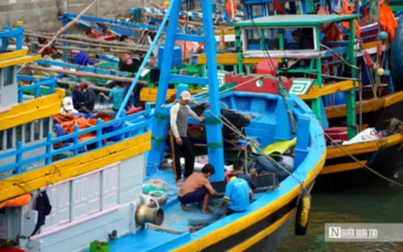 Đồng bộ nhận diện tàu cá tại Lâm Đồng, hướng tới nghề cá bền vững