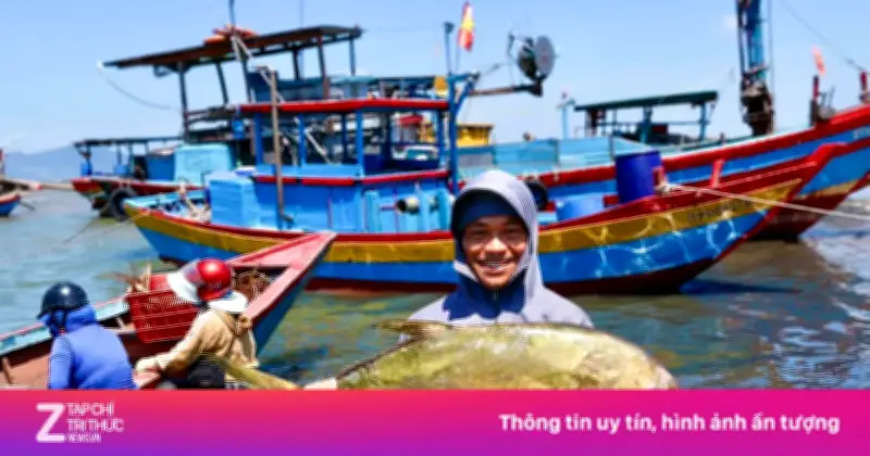 Ngư dân Hà Tĩnh trúng đậm cá vàng dâng quý hiếm ở vùng biển Quảng Trị