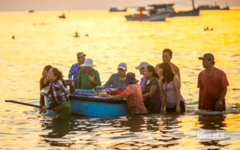 Ngư dân Đắk Lắk phấn khởi vì cá cơm được mùa, được giá