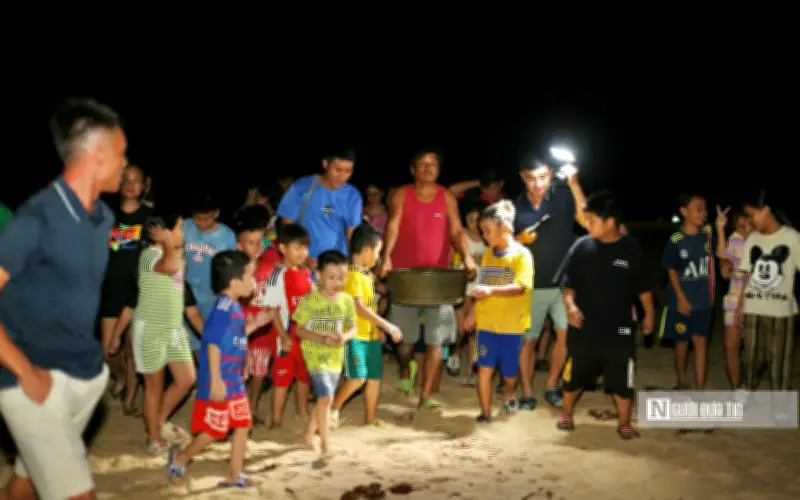 Ngư dân Nhơn Hải làm 'bà đỡ' cho rùa biển, góp phần bảo tồn loài quý hiếm