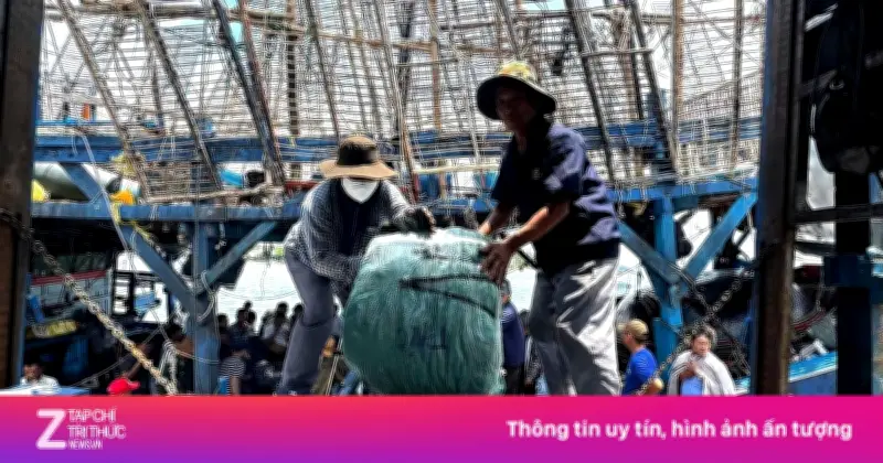 Ngư dân Quảng Ngãi 'thắng lớn' nhờ giá mực xà cao kỷ lục