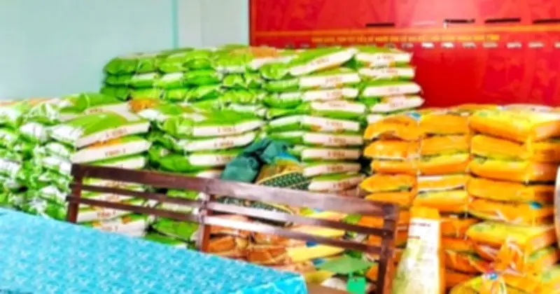 Đăng ký lúa giống vụ đông xuân, nhận muộn vào vụ hè thu tại An Nhơn Nam
