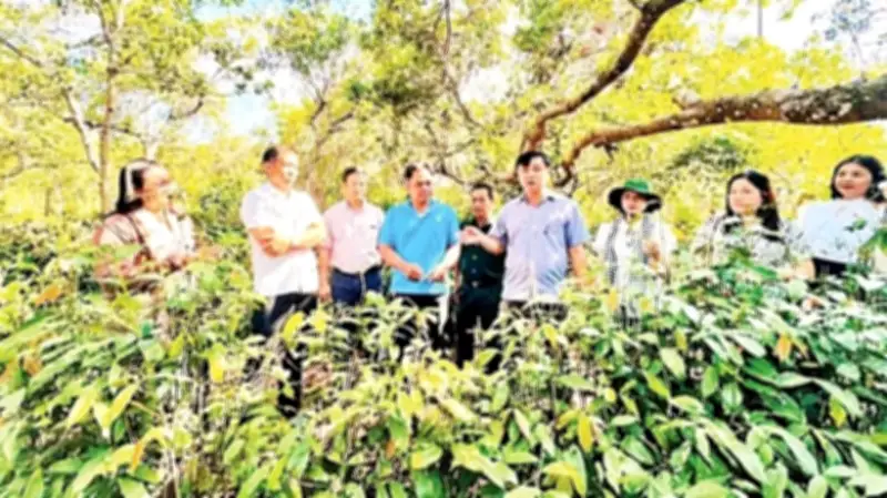 Đồng Nai: Nội lực đồng bào dân tộc vươn lên thoát nghèo bền vững