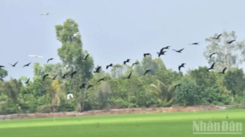 Đồng Tháp ra quân cao điểm bảo vệ động vật hoang dã và thủy sản