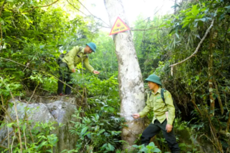 Nghệ An: Kiểm lâm căng mình giữ rừng giữa nắng nóng hơn 40 độ C