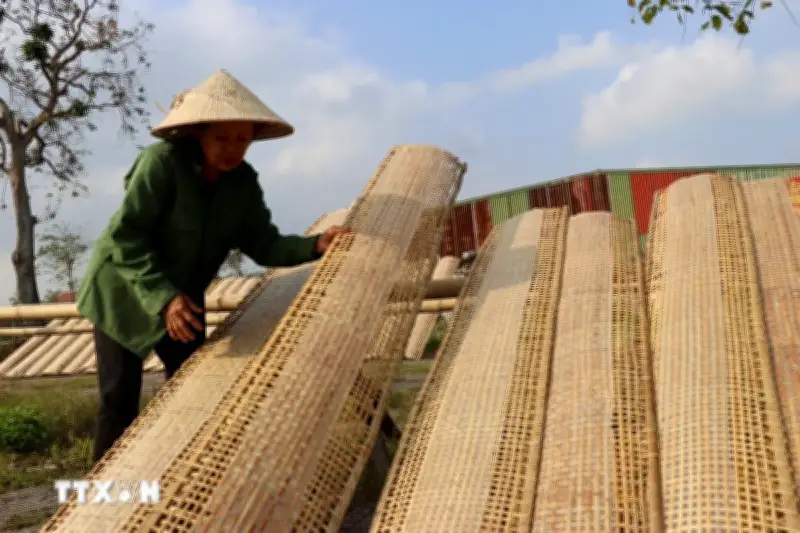 Nghề làm bánh rám Hà Tĩnh giữ gìn hương vị quê từ hạt gạo