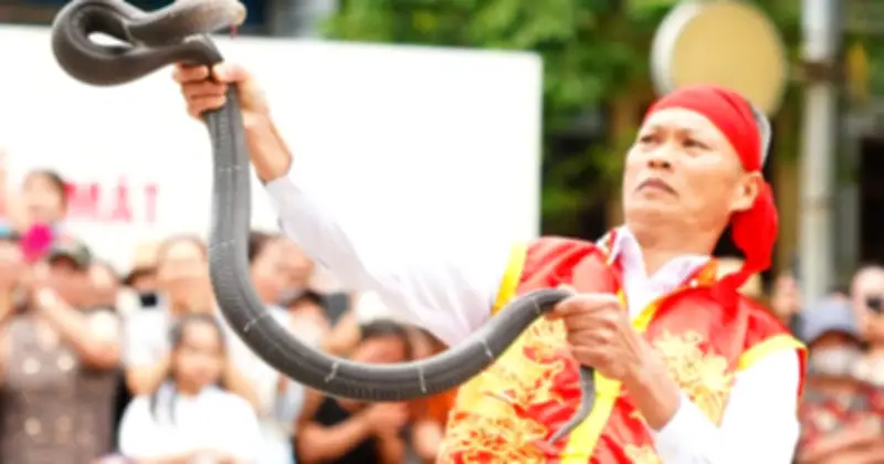 Nghệ nhân múa rắn làng Lệ Mật: Đôi bàn tay đẫm mồ hôi thuần phục rắn độc