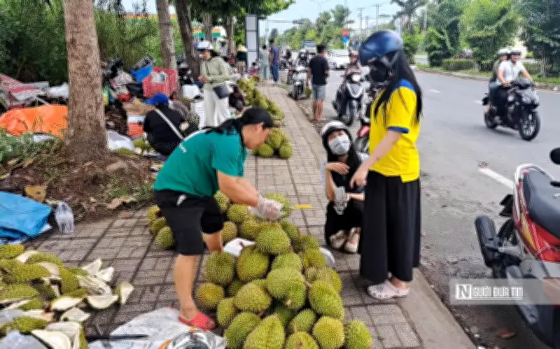Nghịch lý sầu riêng: Nông dân bán rẻ, người tiêu dùng mua đắt vì nhiều tầng trung gian