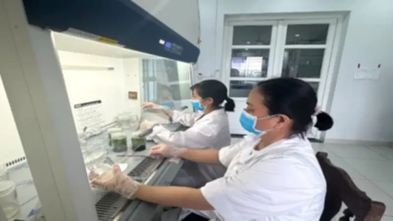 Nghiên cứu cơ bản là nền tảng chiến lược cho tự chủ công nghệ quốc gia