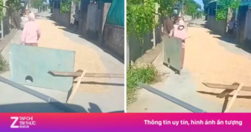 Người dân Nghệ An dùng tôn, gỗ chắn đường phơi lúa, đe dọa tài xế ô tô