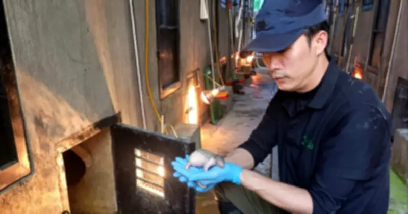 Người hùng thầm lặng: Gắn bó 7 năm cứu hộ động vật hoang dã