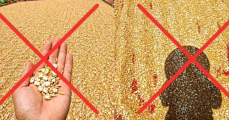Người đàn ông bị phạt vì đăng ảnh thọc nõ bông dưới nắng nóng