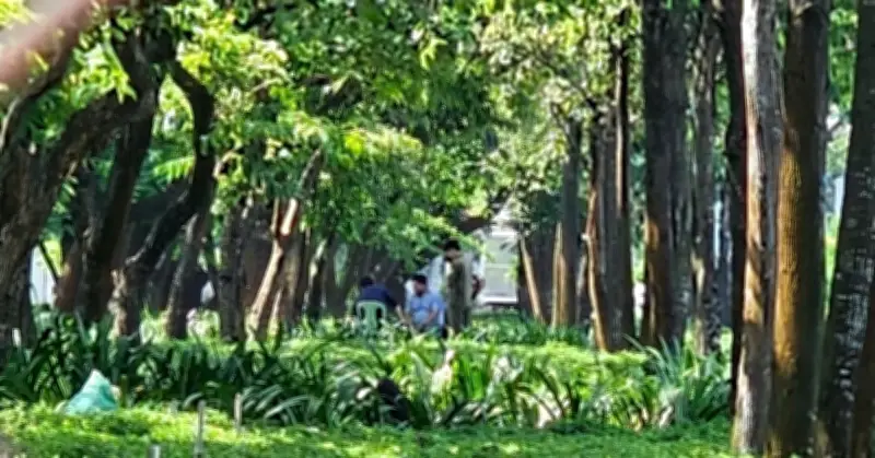 Người đàn ông sống lang thang tử vong bất thường tại khuôn viên cây xanh ở TPHCM