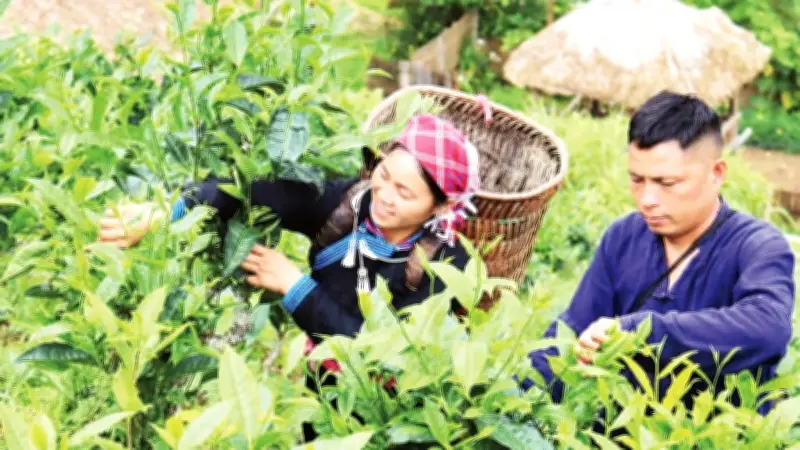 Người trẻ dùng mạng xã hội quảng bá du lịch cộng đồng