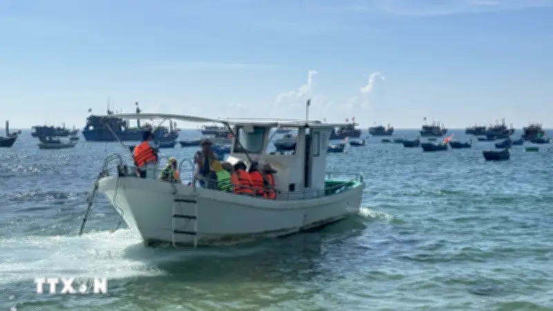 Nguy cơ mất an toàn từ các tour du lịch đường thủy tự phát