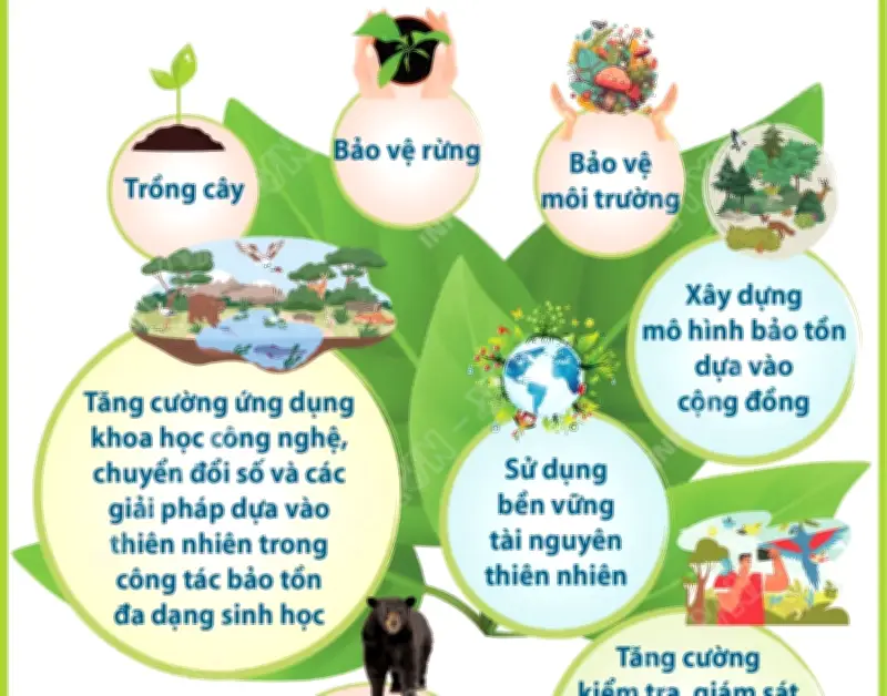 Ngày Quốc tế Đa dạng sinh học: Hành động địa phương vì hiệu quả toàn cầu