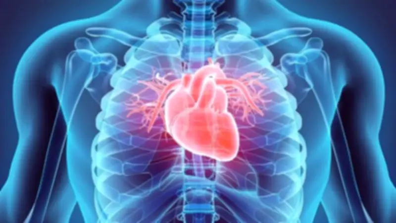 Những thói quen buổi sáng thầm lặng bảo vệ trái tim bạn mỗi ngày