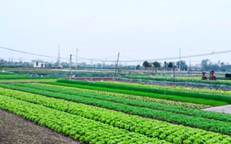 Những trường hợp không được cấp sổ đỏ từ năm 2026