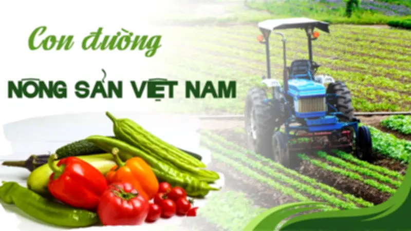 Nông nghiệp Việt Nam: Thành tựu lớn nhưng cần đổi mới để tăng giá trị
