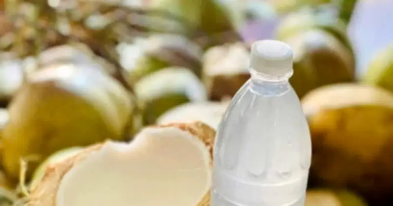 Nắng nóng đỉnh điểm: Có nên uống 2-3 quả dưa mỗi ngày thay nước lọc?