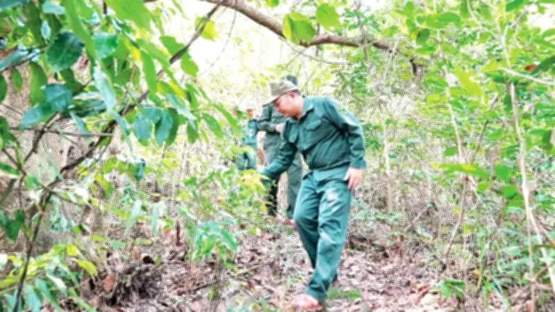 Đà Nẵng tăng cường phòng cháy chữa cháy rừng trong mùa nắng nóng