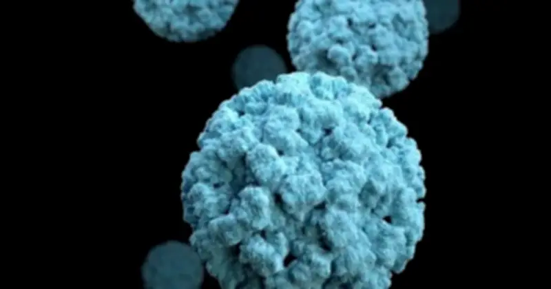 Norovirus bùng phát mạnh tại Mỹ, chuyên gia cảnh báo nguy cơ lây nhiễm cao