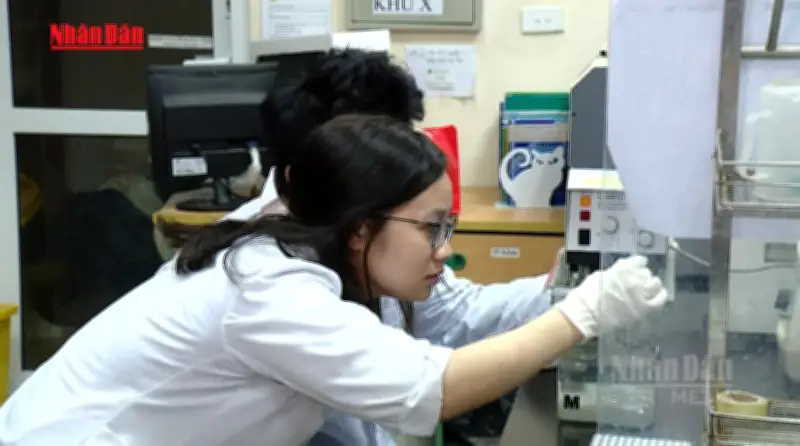 Đạo văn, làm giả dữ liệu có thể bị cấm nghiên cứu khoa học vô thời hạn