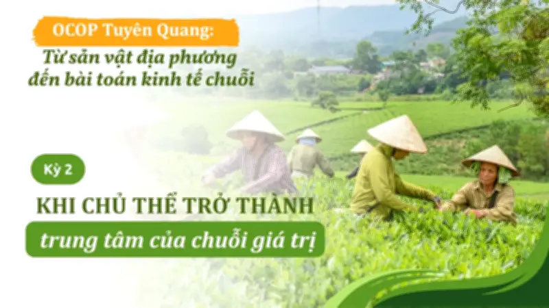 OCOP Tuyên Quang: Từ sản xuất nhỏ lẻ đến chuỗi giá trị bền vững