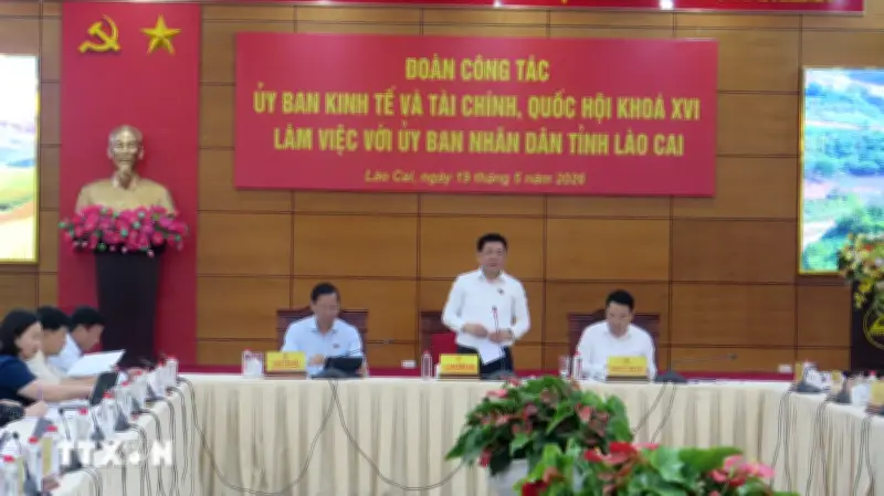 Phó Chủ tịch Quốc hội Nguyễn Hồng Diên: Lào Cai xử lý dứt điểm tài sản dôi dư