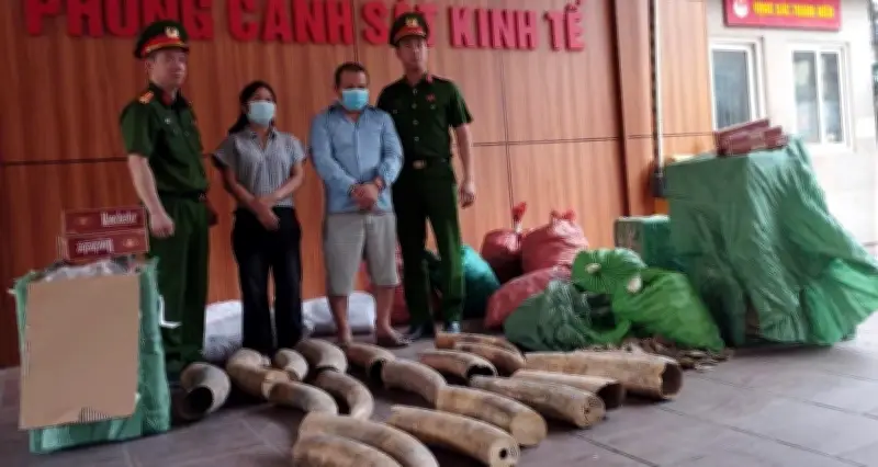 Phá đường dây tội phạm liên quan 242kg ma túy và gần 70.000 bao thuốc lá lậu