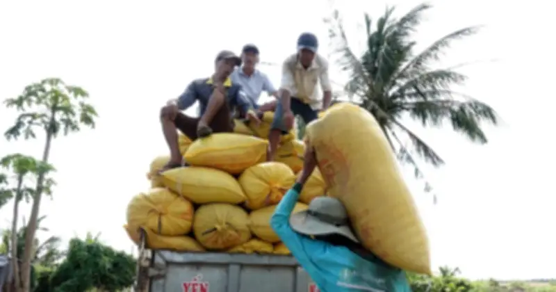 Philippines tiếp tục là khách mua gạo lớn nhất của Việt Nam, dự báo nhập khẩu kỷ lục 5,5 triệu tấn năm 2026