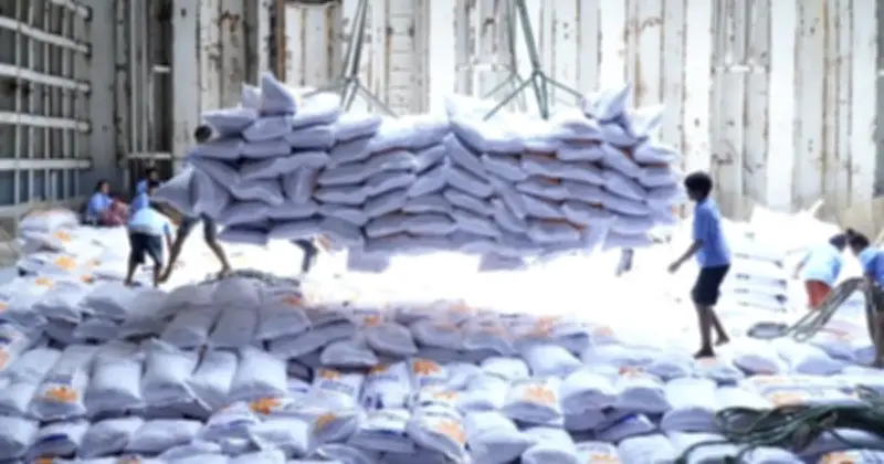 Philippines tăng tốc nhập gạo Việt: 23 tàu nối đuôi trong 10 ngày