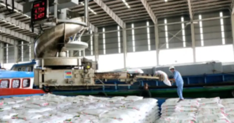 Phân bón chịu thuế GTGT 5% từ 2025: Không chịu thuế chưa chắc đã lợi