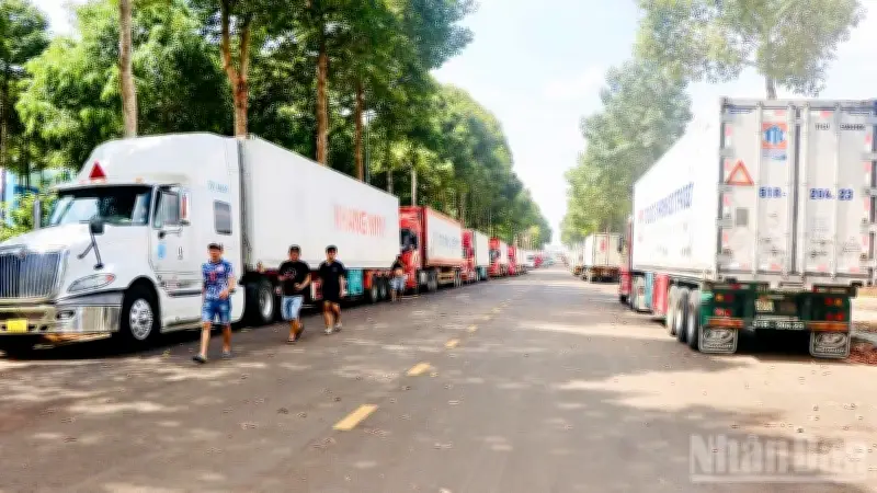 Phường Dầu Giây xử lý xe container đỗ tràn lan gây mất ATGT