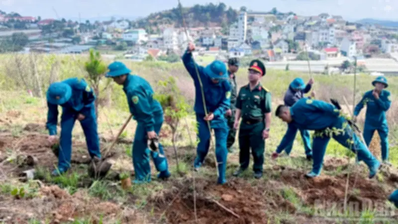 Phường Xuân Trường Đà Lạt trồng hơn 500 cây mai anh đào hưởng ứng Tết trồng cây