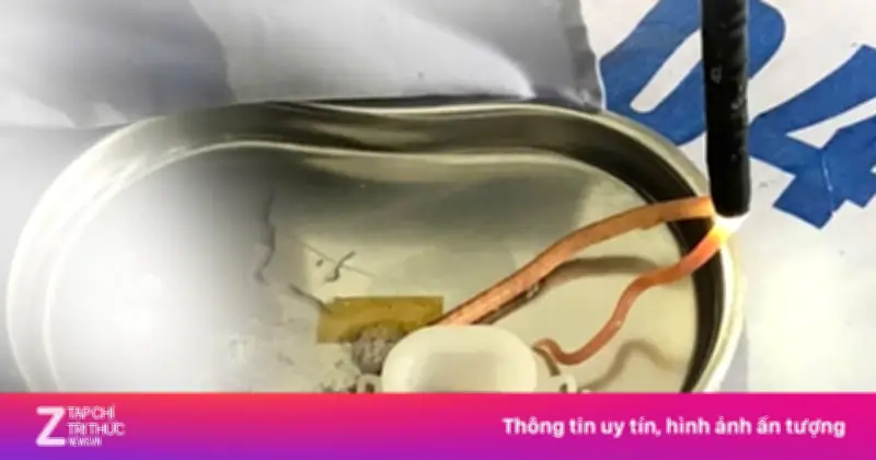 Phát hiện giun đũa ở trẻ chưa từng ra nước ngoài tại New Zealand