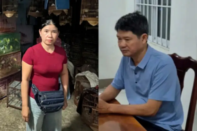 Phát hiện kho cất giấu 433 cá thể động vật hoang dã không rõ nguồn gốc